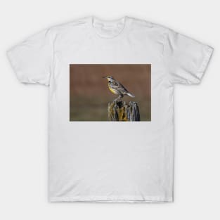 Eastern Meadowlark T-Shirt